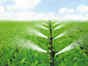 果树全年四次施肥法