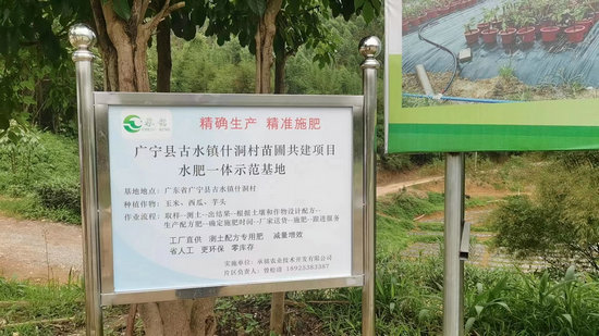 古水镇什洞村苗圃