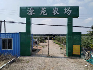中山火龙果示范基地（豪苑农场）